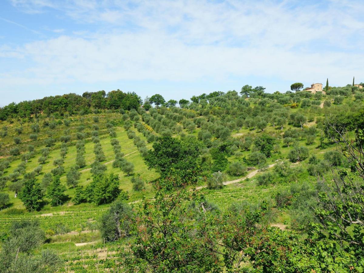 Holiday Home Poggio Velluto By Interhome Seggiano Zewnętrze zdjęcie